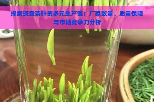 探索班章茶叶的多元生产链：厂家数量、质量保障与市场竞争力分析