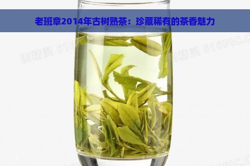 老班章2014年古树熟茶：珍藏稀有的茶香魅力