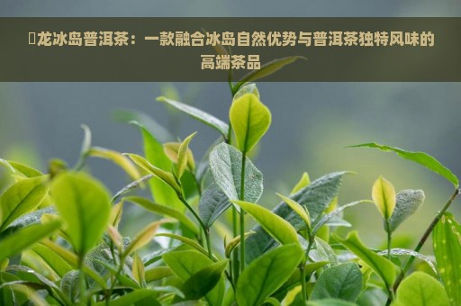 犇龙冰岛普洱茶：一款融合冰岛自然优势与普洱茶独特风味的高端茶品