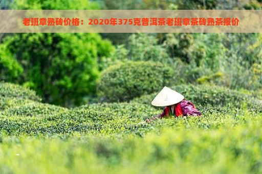 老班章熟砖价格：2020年375克普洱茶老班章茶砖熟茶报价