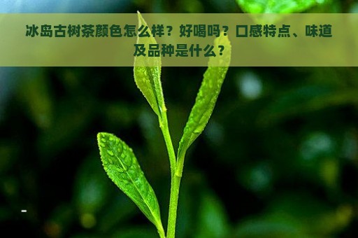 冰岛古树茶颜色怎么样？好喝吗？口感特点、味道及品种是什么？