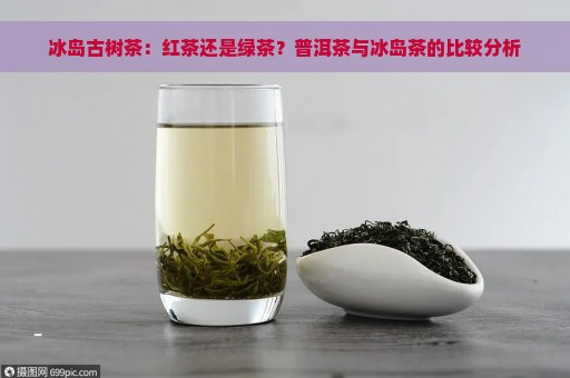 冰岛古树茶：红茶还是绿茶？普洱茶与冰岛茶的比较分析