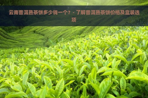 云南普洱熟茶饼多少钱一个？- 了解普洱熟茶饼价格及盒装选项