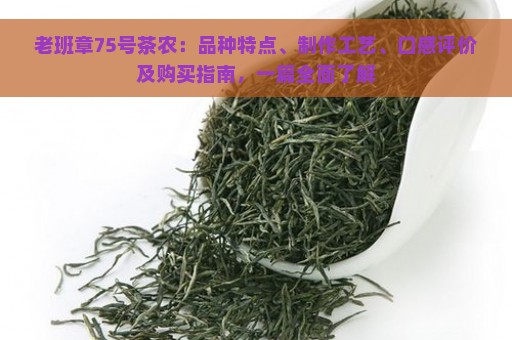 老班章75号茶农：品种特点、制作工艺、口感评价及购买指南，一篇全面了解