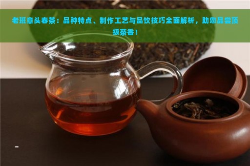 老班章头春茶：品种特点、制作工艺与品饮技巧全面解析，助您品尝顶级茶香！