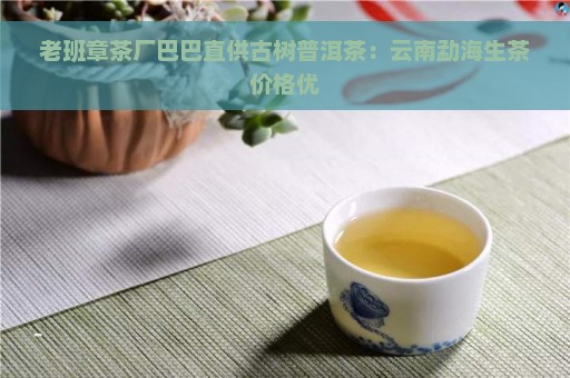 老班章茶厂巴巴直供古树普洱茶：云南勐海生茶价格优