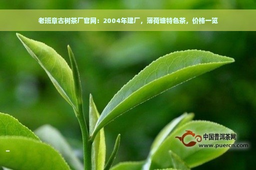 老班章古树茶厂官网：2004年建厂，薄荷塘特色茶，价格一览