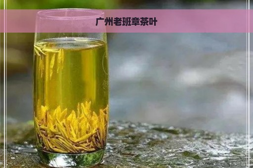 广州老班章茶叶