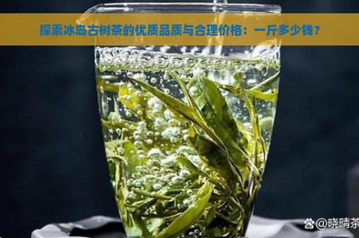 探索冰岛古树茶的优质品质与合理价格：一斤多少钱？