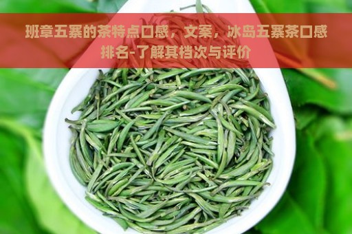 班章五寨的茶特点口感，文案，冰岛五寨茶口感排名-了解其档次与评价