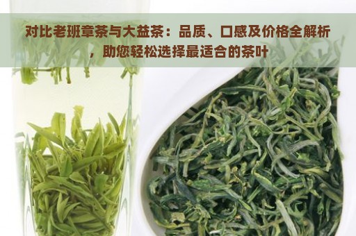 对比老班章茶与大益茶：品质、口感及价格全解析，助您轻松选择最适合的茶叶