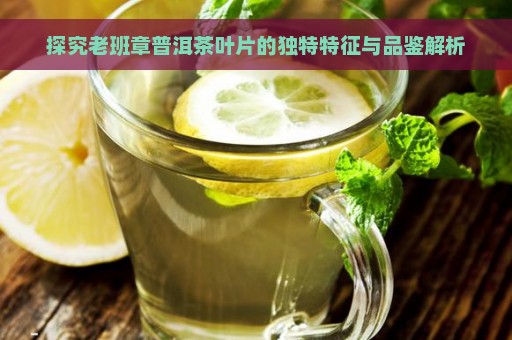 探究老班章普洱茶叶片的独特特征与品鉴解析