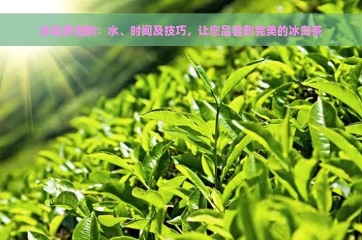 冰岛茶泡制：水、时间及技巧，让您品尝到完美的冰岛茶