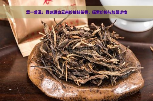 贡一普洱：品味源自云南的独特茶香，探索价格与加盟详情