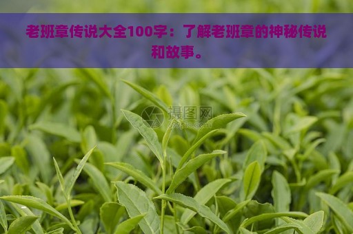 老班章传说大全100字：了解老班章的神秘传说和故事。