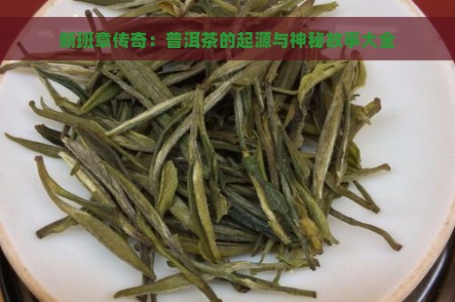 新班章传奇：普洱茶的起源与神秘故事大全