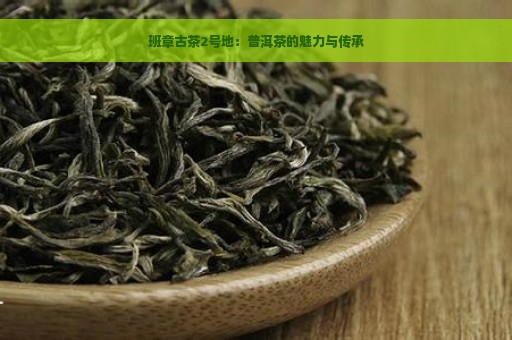 班章古茶2号地：普洱茶的魅力与传承