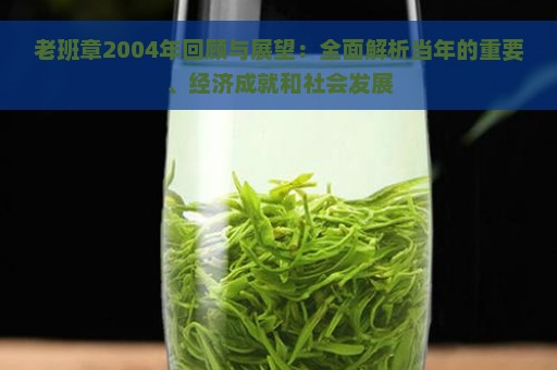 老班章2004年回顾与展望：全面解析当年的重要、经济成就和社会发展