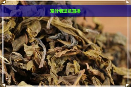 茶叶老班章直播