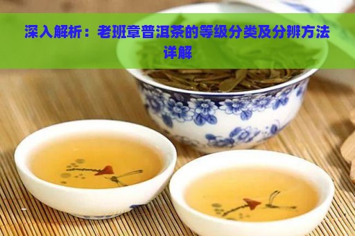 深入解析：老班章普洱茶的等级分类及分辨方法详解