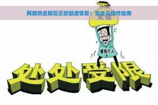 网商贷逾期后还款额度恢复：安全与操作指南