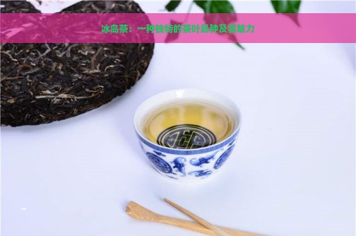 冰岛茶：一种独特的茶叶品种及其魅力