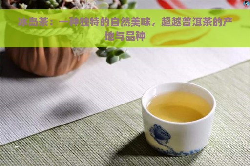 冰岛茶：一种独特的自然美味，超越普洱茶的产地与品种