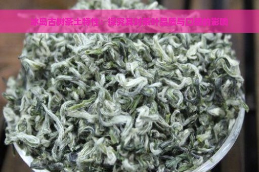 冰岛古树茶土特性：探究其对茶叶品质与口感的影响