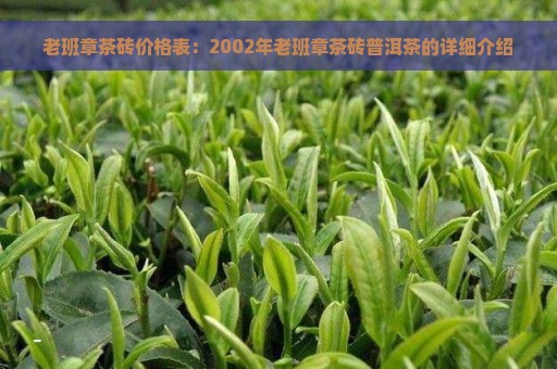 老班章茶砖价格表：2002年老班章茶砖普洱茶的详细介绍