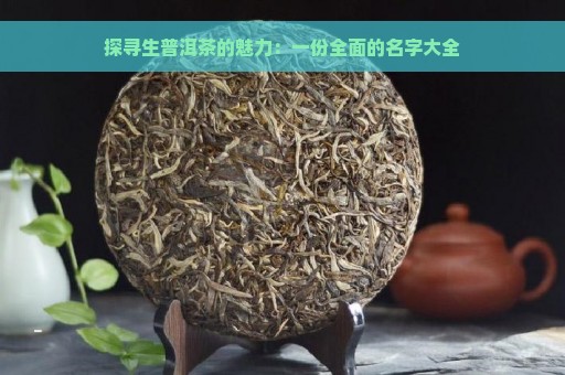 探寻生普洱茶的魅力：一份全面的名字大全