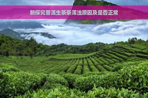 新探究普洱生茶茶浑浊原因及是否正常