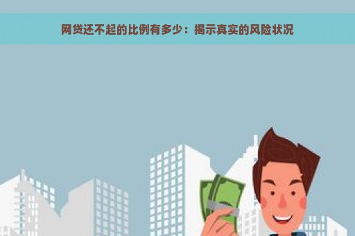 网贷还不起的比例有多少：揭示真实的风险状况