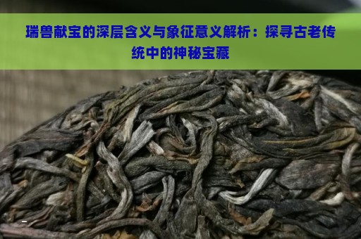 瑞兽献宝的深层含义与象征意义解析：探寻古老传统中的神秘宝藏