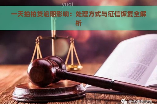 一天拍拍贷逾期影响：处理方式与征信恢复全解析