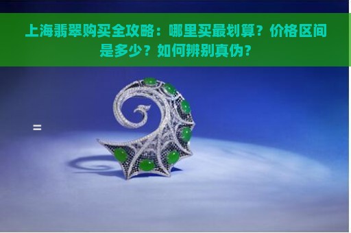 上海翡翠购买全攻略：哪里买最划算？价格区间是多少？如何辨别真伪？