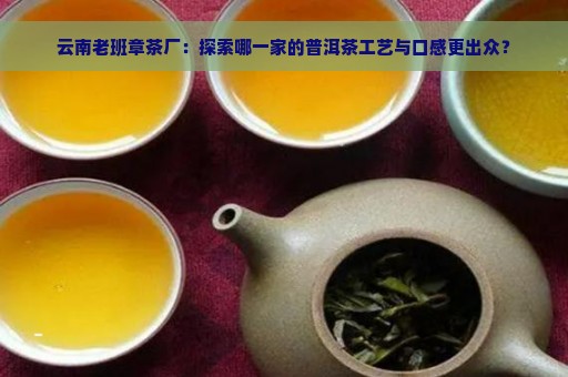 云南老班章茶厂：探索哪一家的普洱茶工艺与口感更出众？