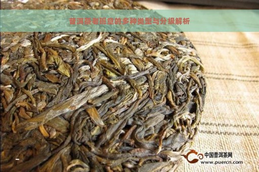 普洱茶老班章的多种类型与分级解析