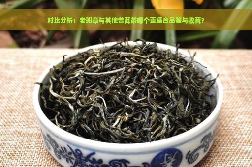 对比分析：老班章与其他普洱茶哪个更适合品鉴与收藏？