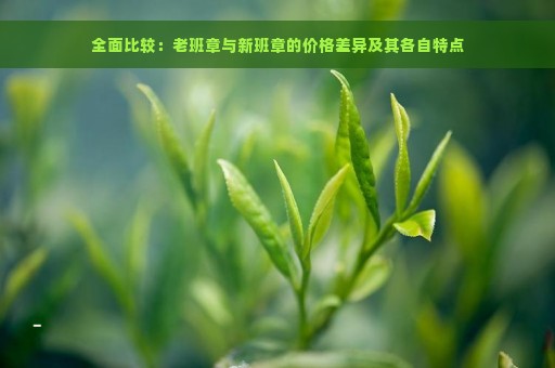 全面比较：老班章与新班章的价格差异及其各自特点