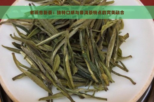 老班章新茶：独特口感与普洱茶特点的完美融合