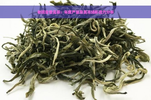 老班章普洱茶：年度产量及其市场影响力分析