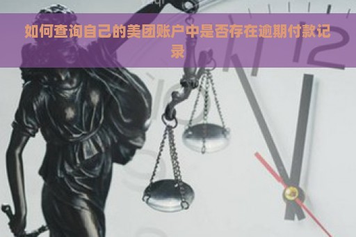 如何查询自己的美团账户中是否存在逾期付款记录