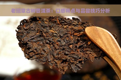 老班章古树普洱茶：口感特点与品尝技巧分析