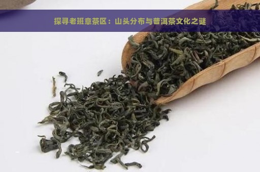 探寻老班章茶区：山头分布与普洱茶文化之谜