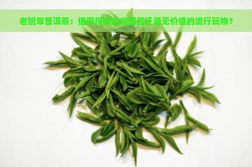 老班章普洱茶：值得投资的收藏品还是无价值的流行玩物？