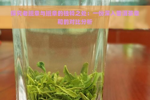 探究老班章与班章的独特之处：一份深入普洱茶章和的对比分析