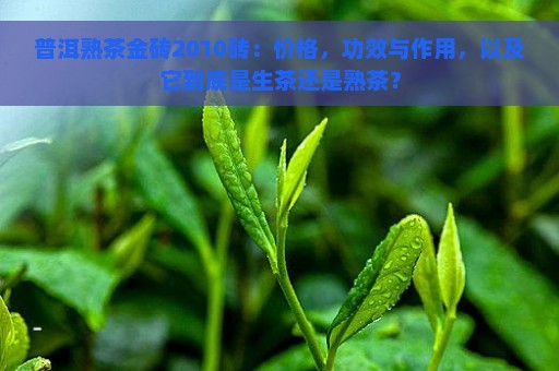 普洱熟茶金砖2010砖：价格，功效与作用，以及它到底是生茶还是熟茶？