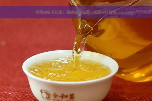 柳州知名老班章：品味古树茶香，感受千年传承