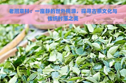 老班章村：一座静的世外桃源，探寻古茶文化与传统村落之美