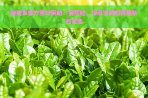 老班章官方茶叶网站：品质越，传承古法的高端茶品之选